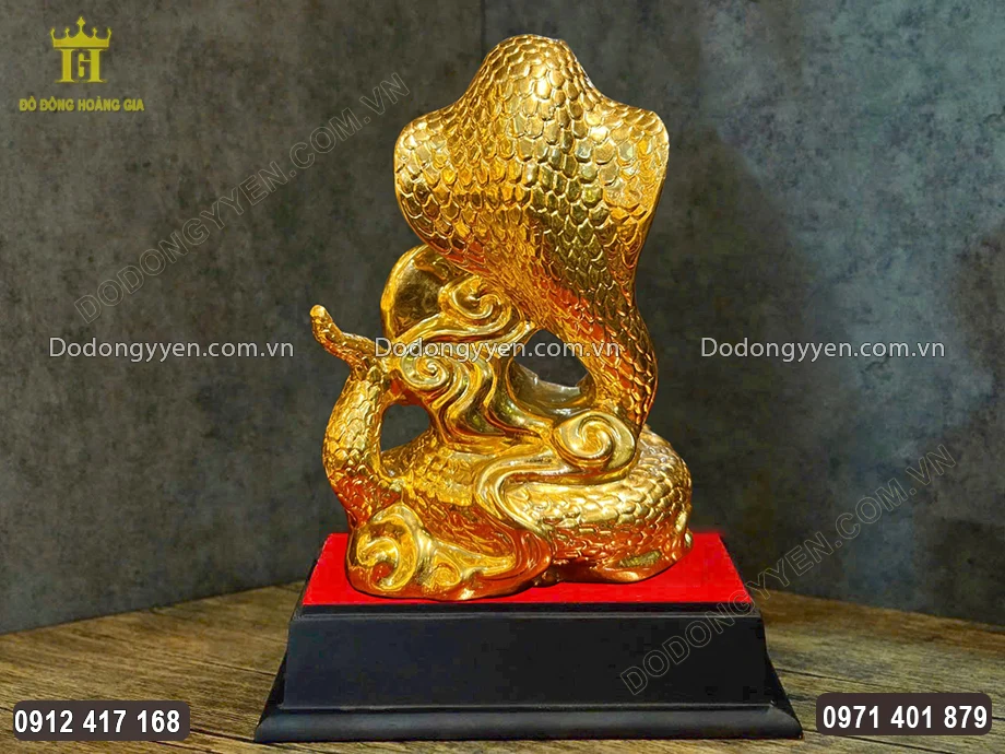 Hình ảnh phía sau của vật phẩm